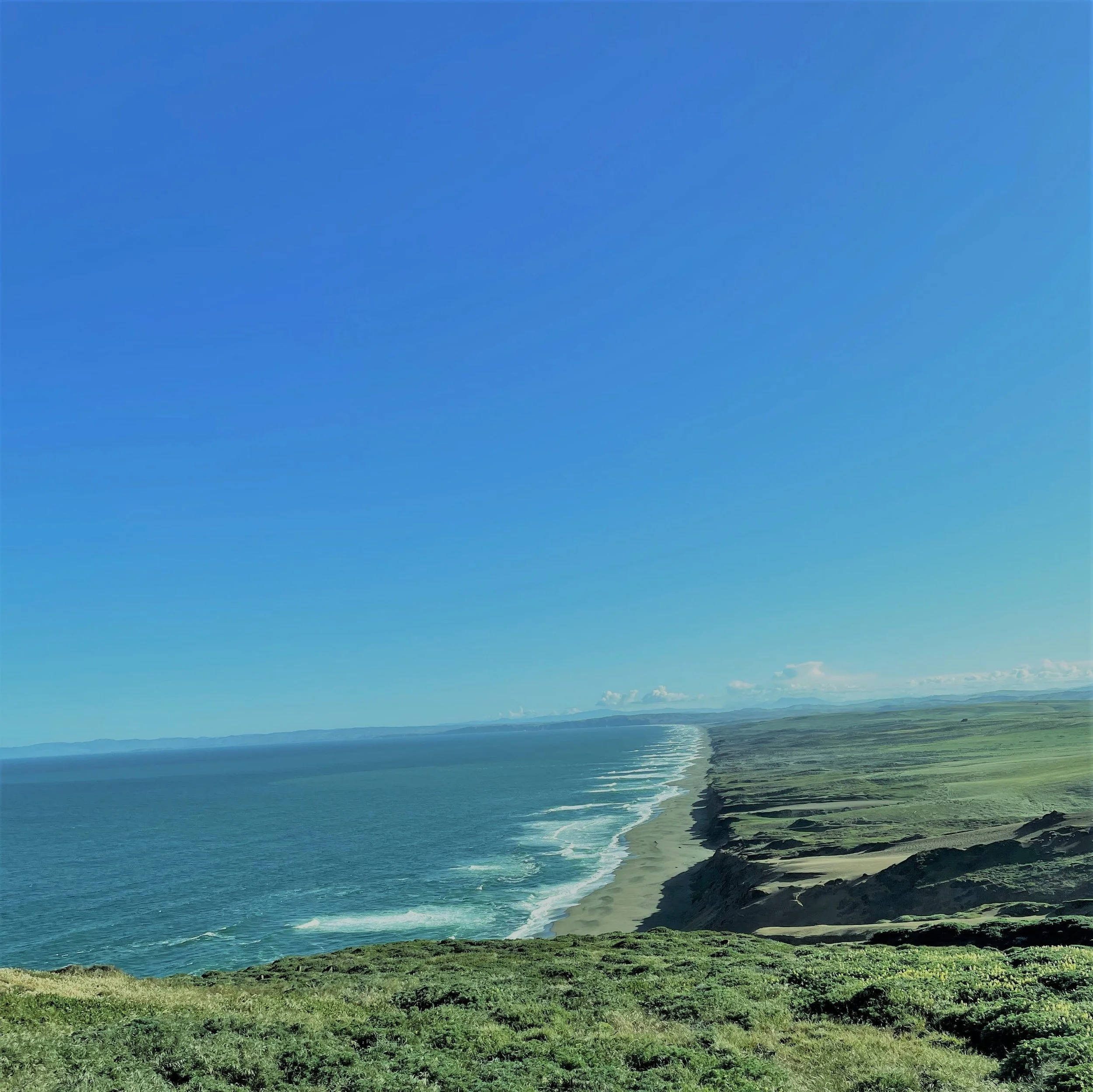 Trail runners on a mountain path